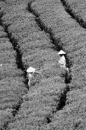 Vietnam-motorbike-tours