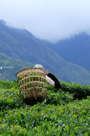 Vietnam-motorbike-travel