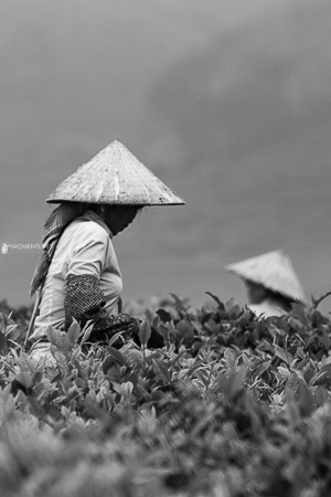 Vietnam-motorbike-trips