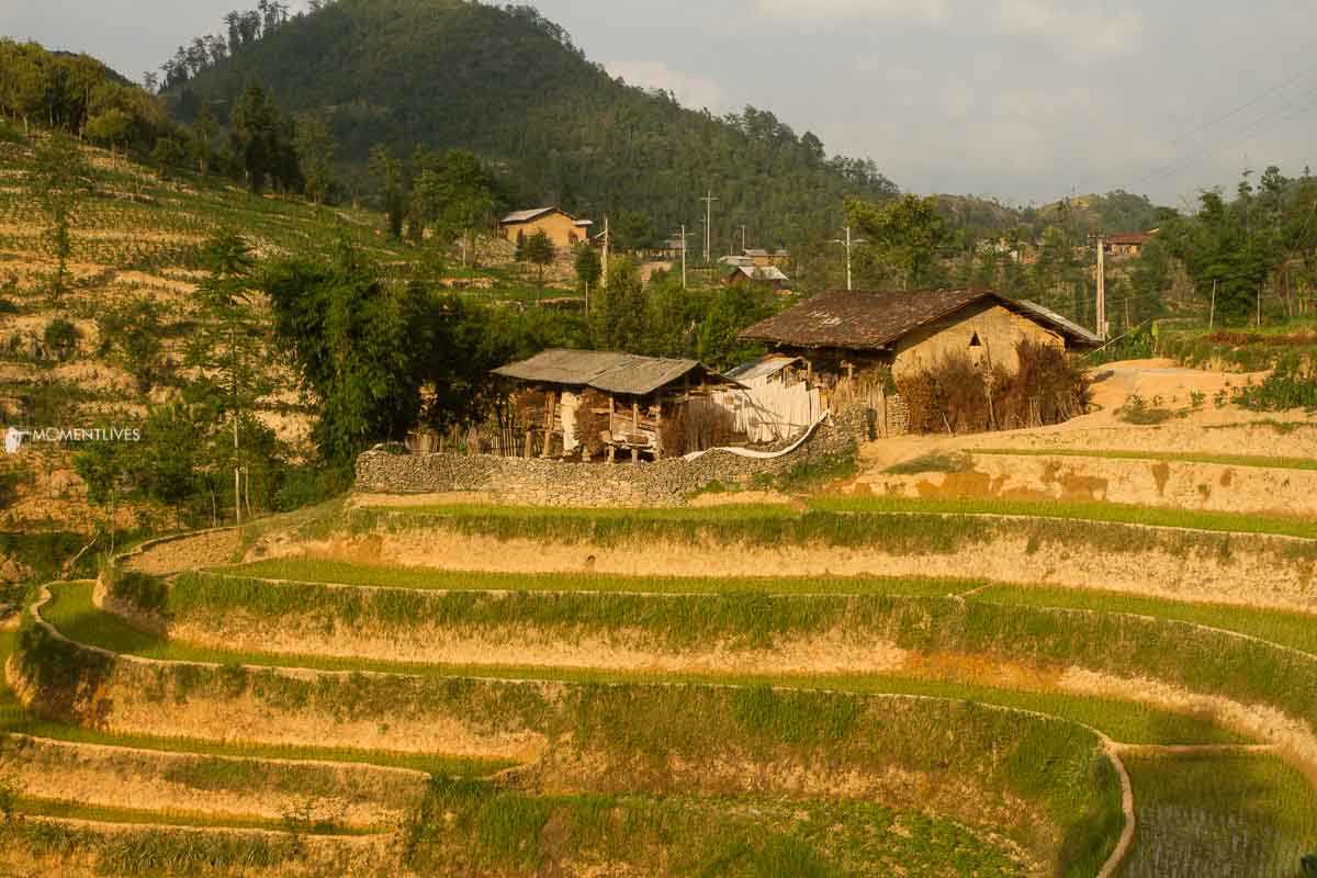 Landscape of Lung Cu