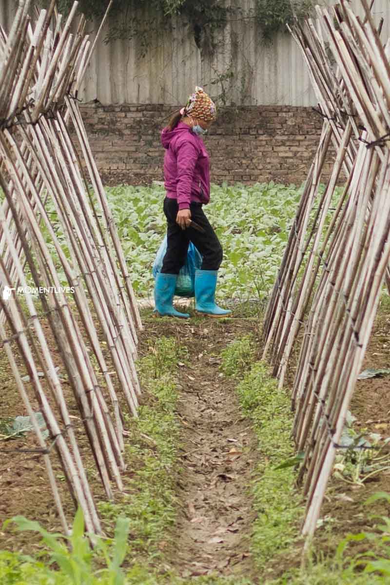 A farmer walking in her vegetable plantation to water the plants