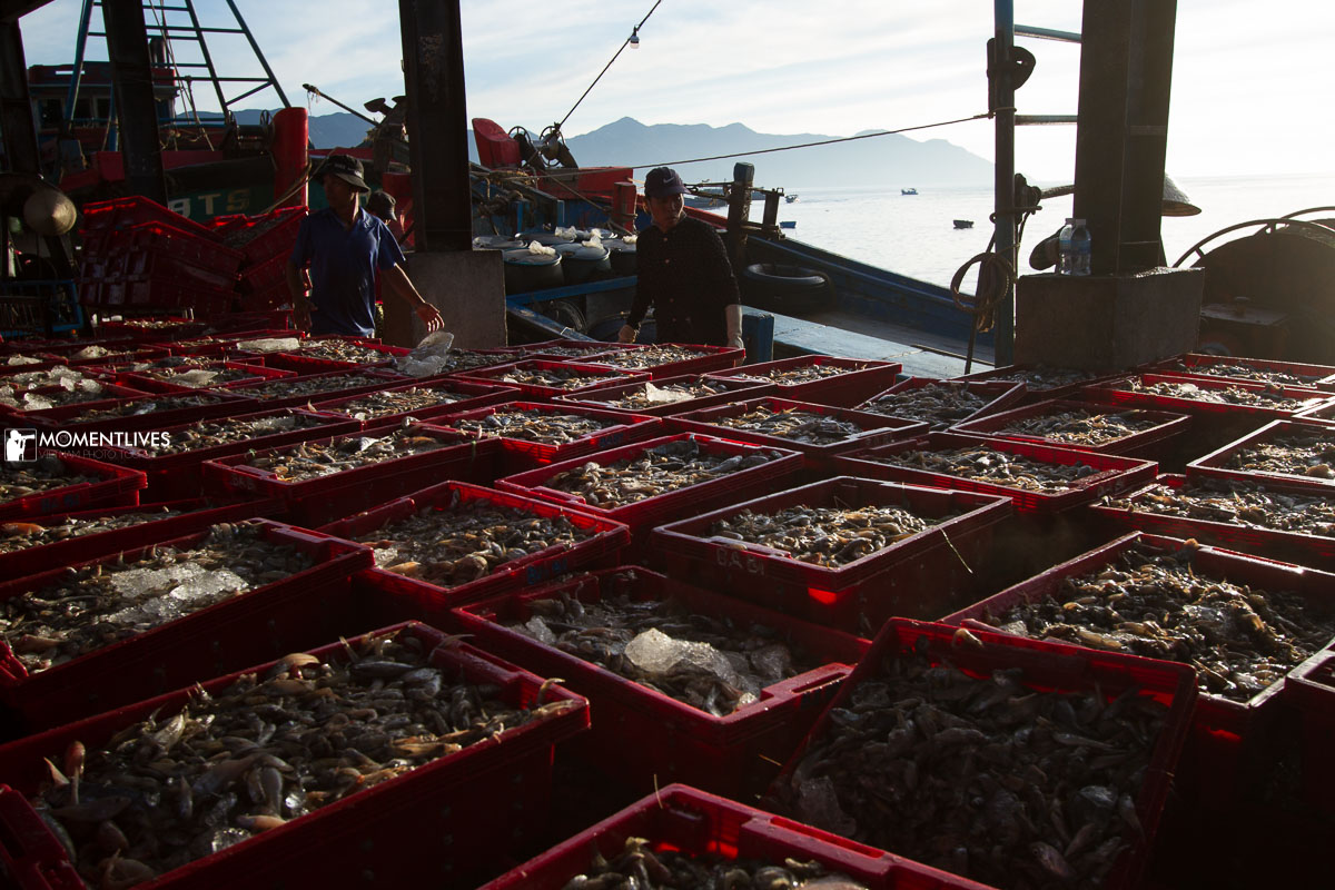 A scene of Luong Son port at dawn that we photographed on our Vietnam photography tour to Nha Trang