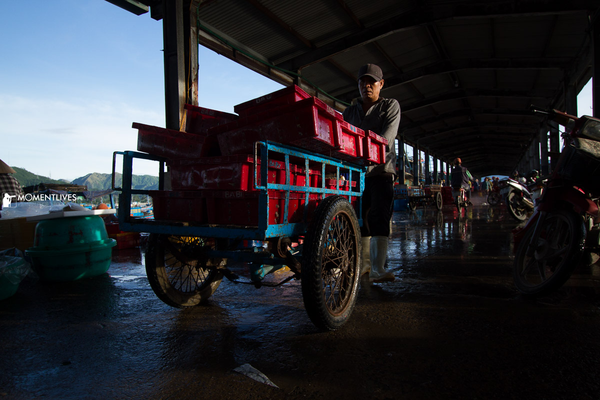 Photograph of a man transporting fish from the boat to shore in Nha Trang, Vietnam