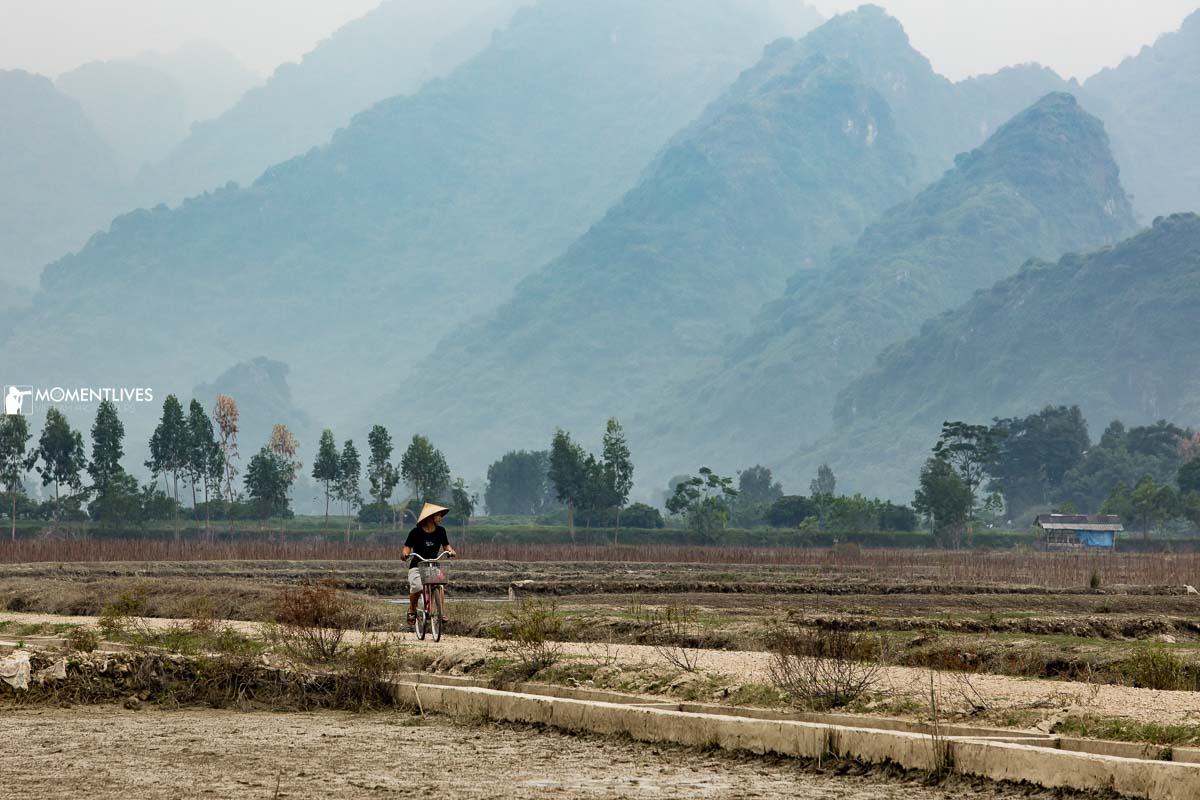 A man cycling in the rice field in the area of Pu Luong National Park, Vietnam