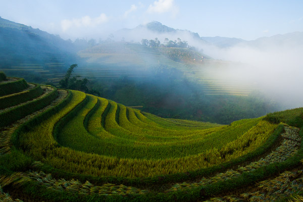 Photography tour to capture the rice terraces of Mu Cang Chai, Vietnam