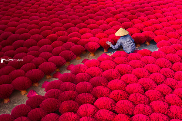 A lady sitting and spreading incense bundles for drying in the incense village of Quang Phu Cau