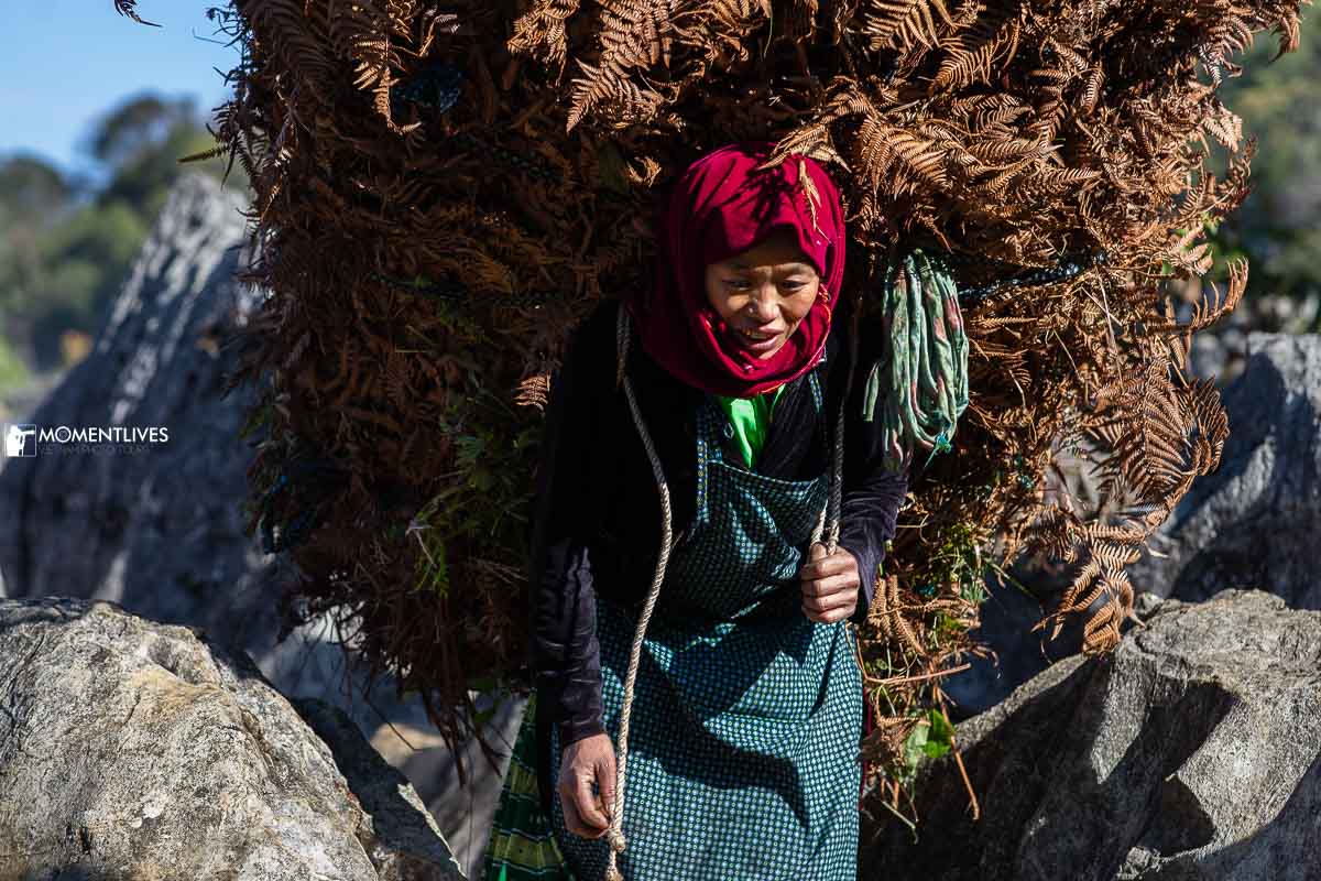 A lady carrying grass in Ha Giang, Vietnam