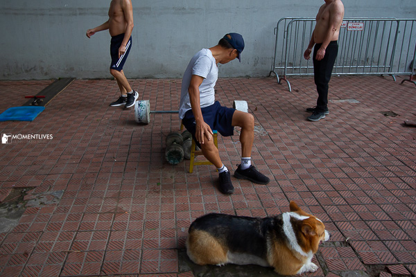 Men doing morning exercise by the Hoan Kiem lake of Hanoi