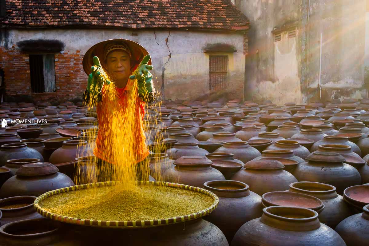 A lady sorting out the rice grain in the soy sauce making village of Ban Yen Nhan, Vietnam