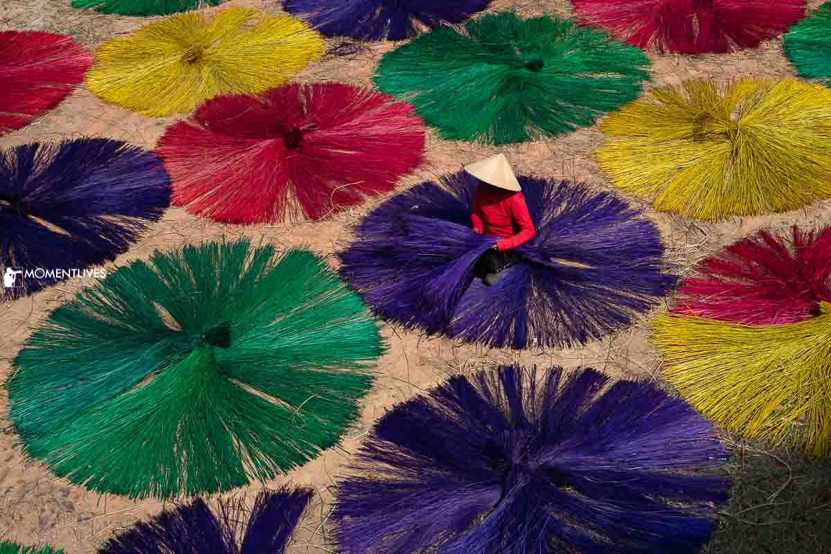Drying sedge grass in Mat weaving village, Vietnam