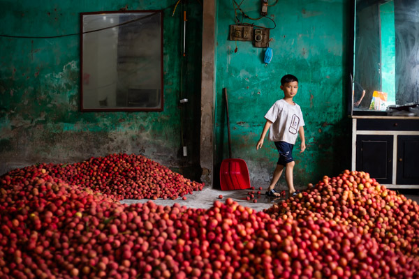 A boy walking among a pile of lychee fruits