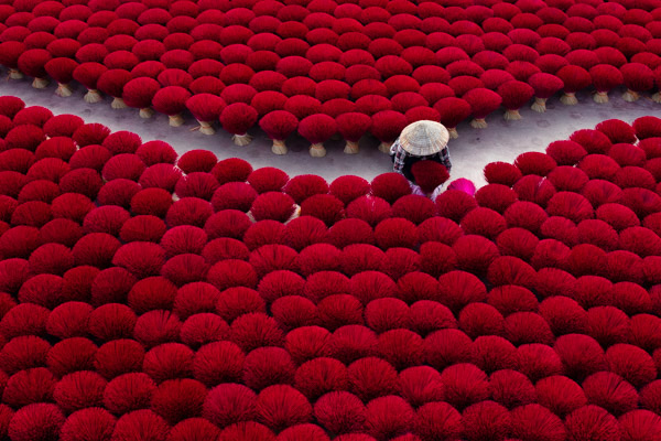 A lady drying incense bundles in an open courtyard of Quang Phu Cau village, Vietnam