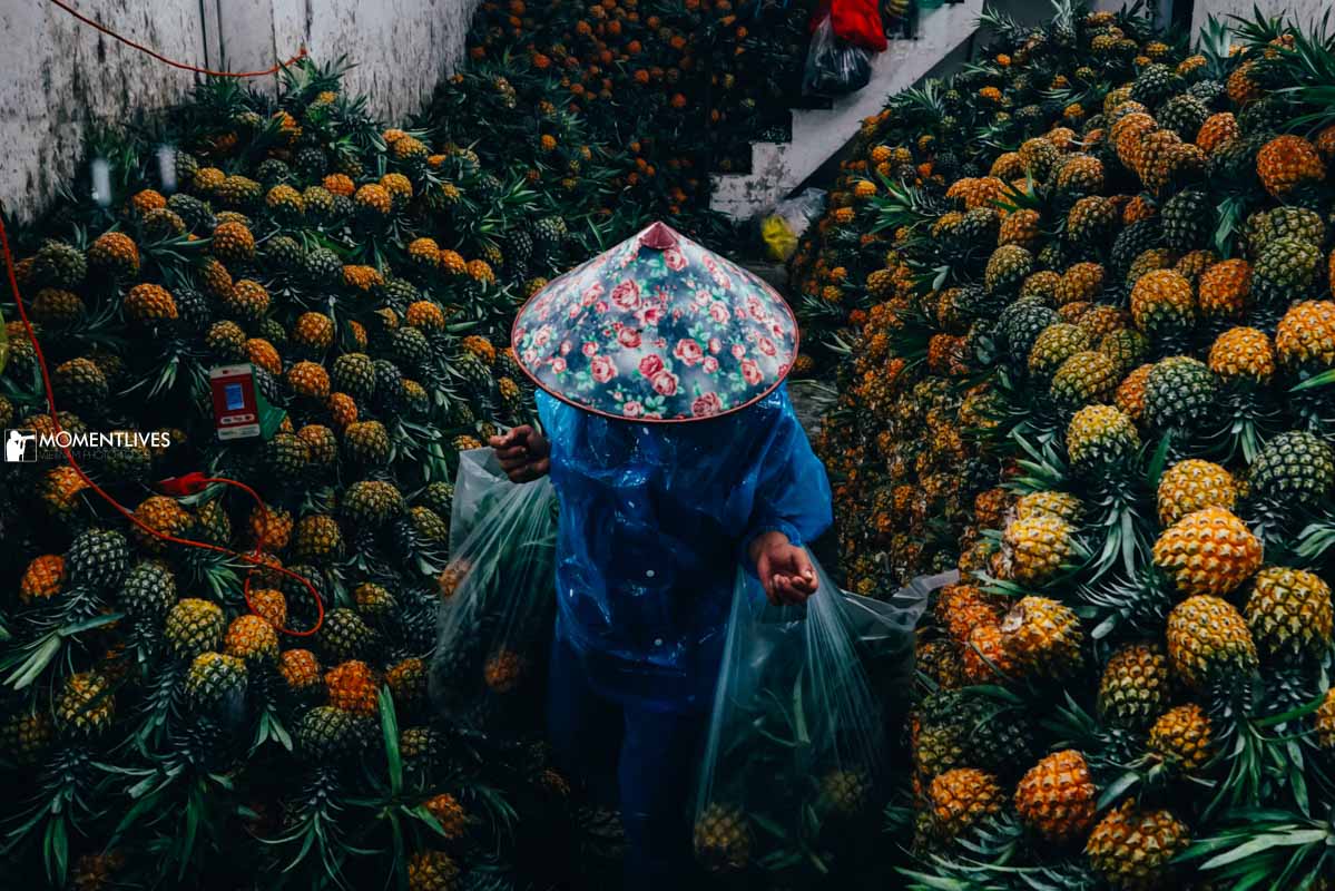 A person walking in a pine apple store in Long Bien market, Hanoi