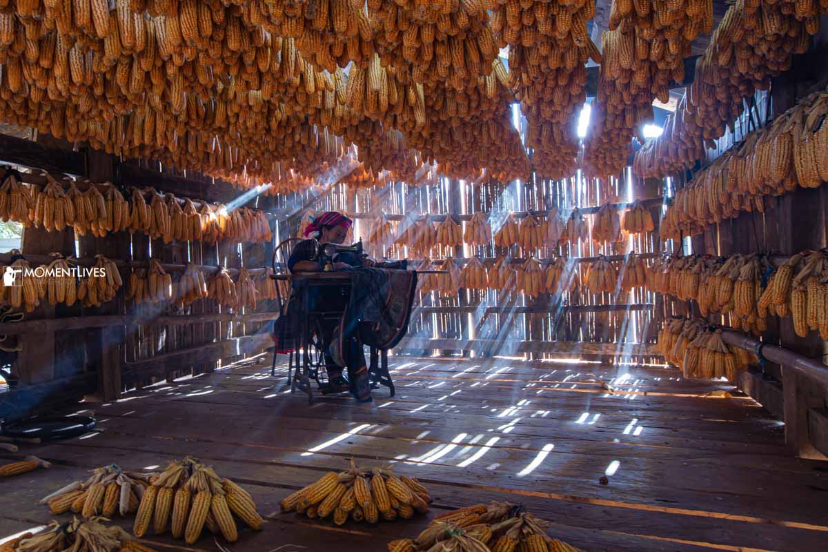 A lady sewing clothes in the corn house of Mu Cang Chai