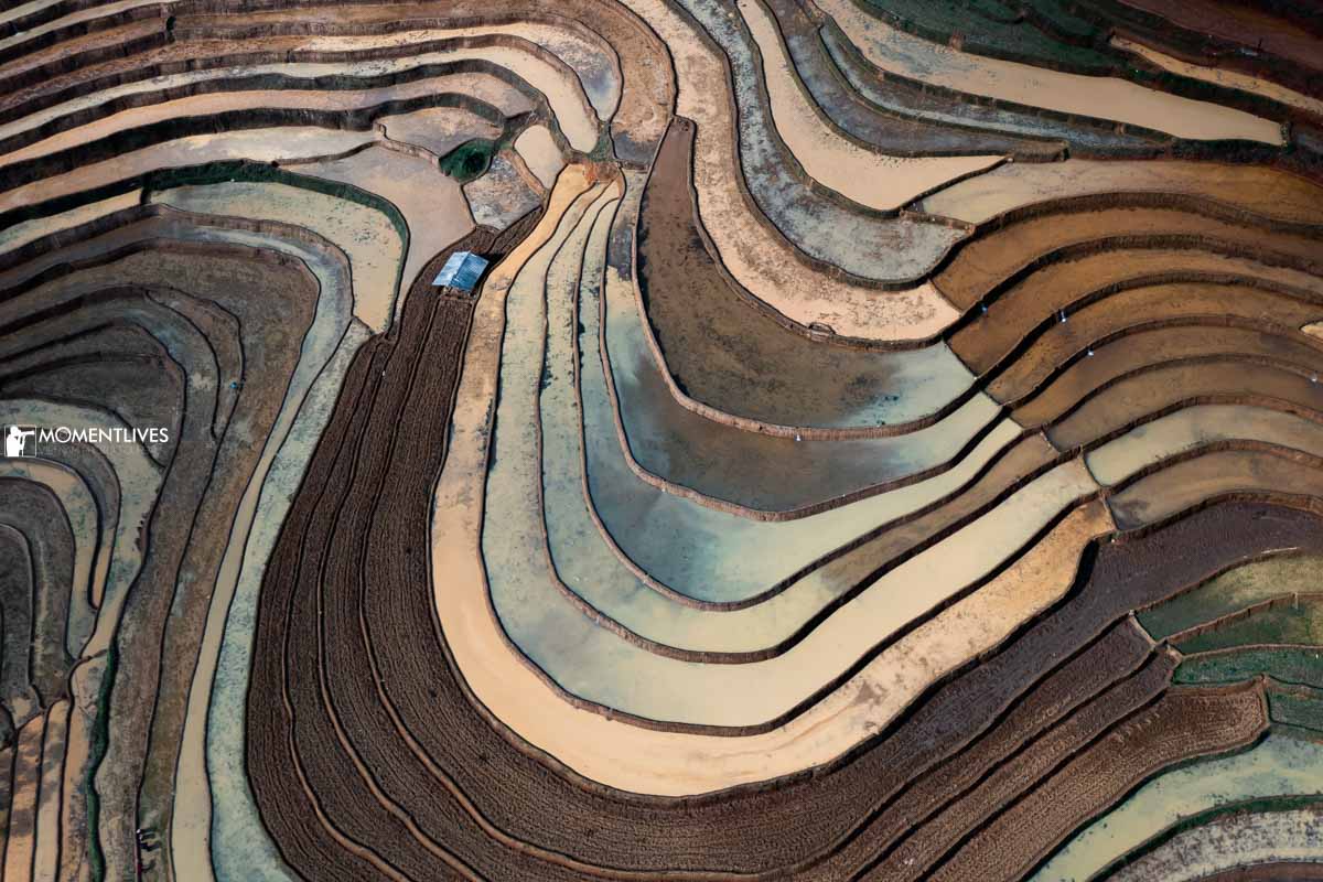 Colors of the rice terrace in Mu Cang Chai, Vietnam