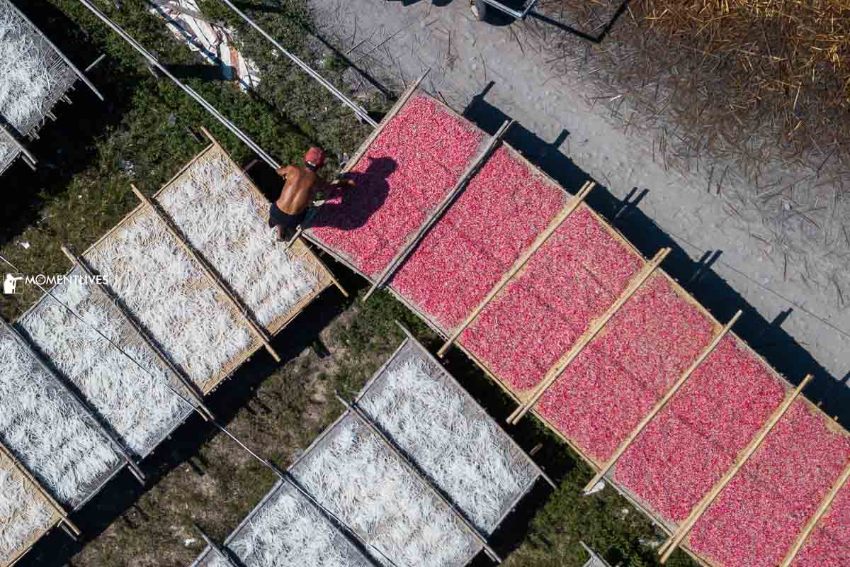 Man drying colorful steamed tapioca slices