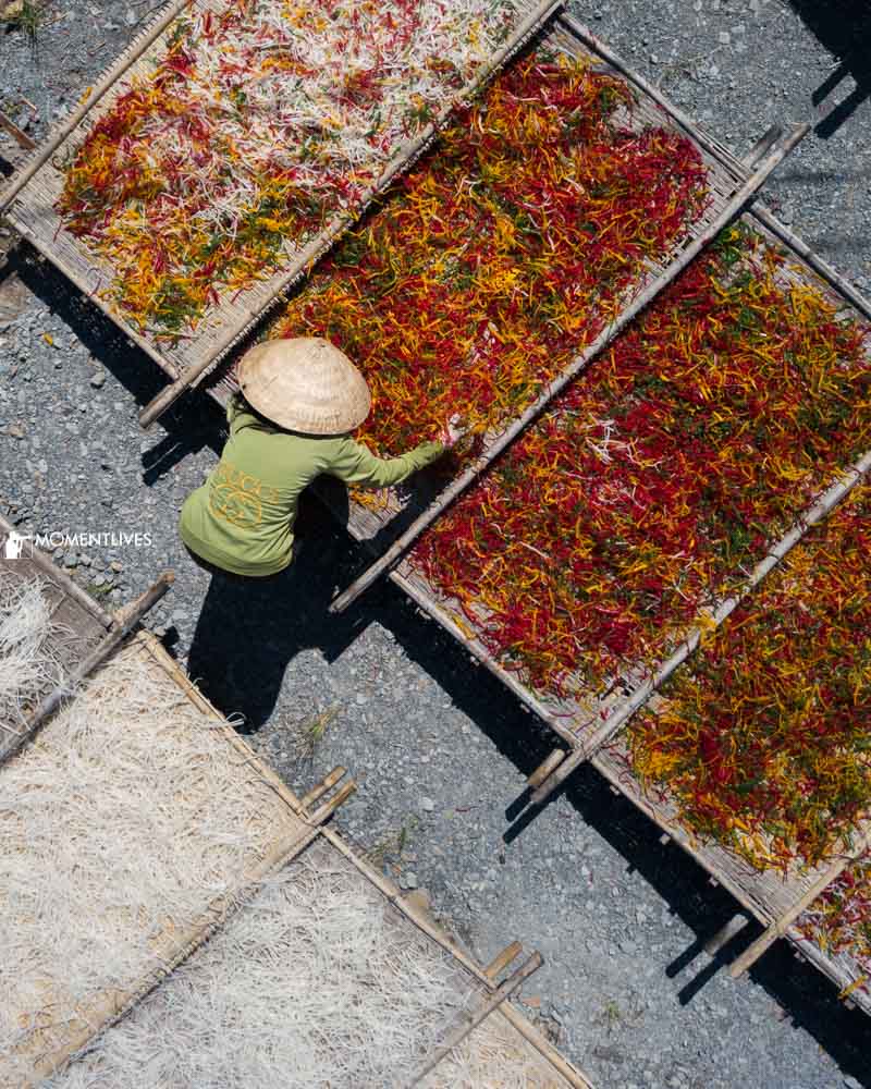 A lady drying cassava flour in Tay Ninh, Vietnam
