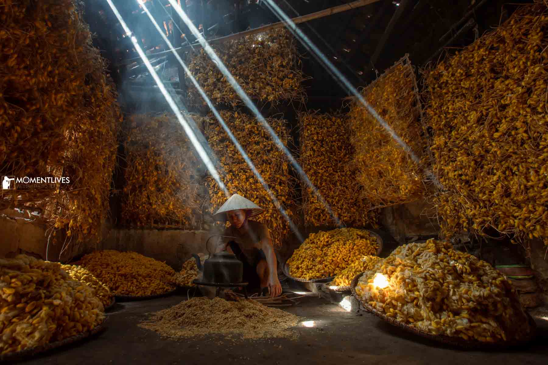 A lady in her conical hat sitting in a room filled up with golden cocoons