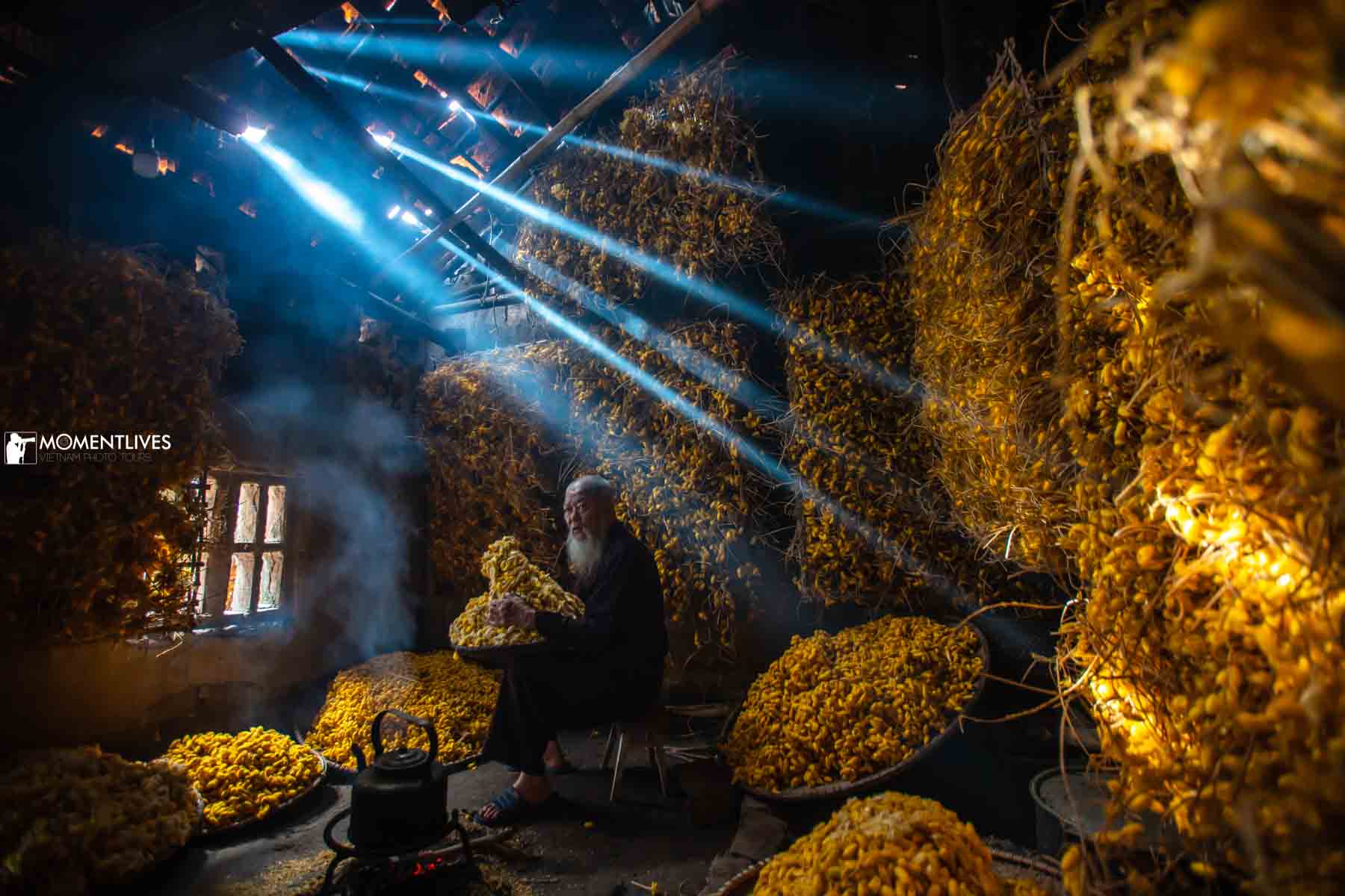 A cocoon room filled up with sunlight